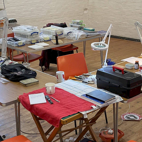 Repair Class - In Person Module 2