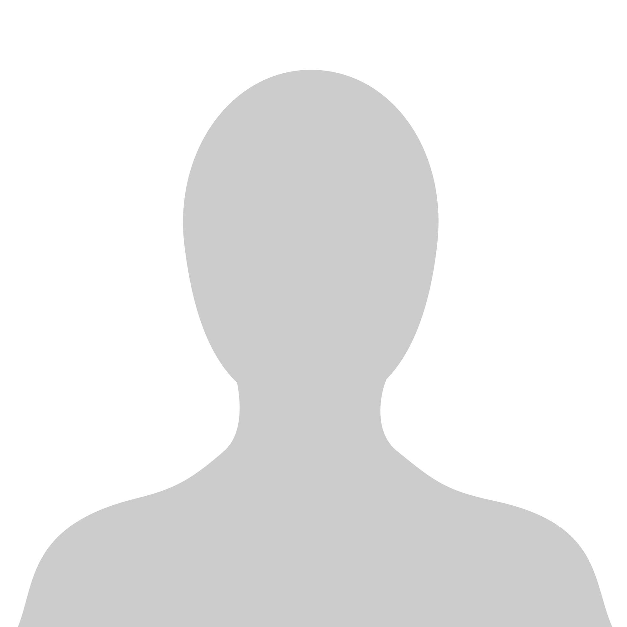 The Writing Equipment Society Council WES